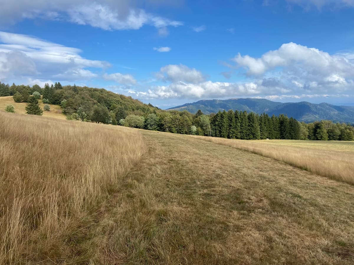 Panorama sur les crêtes des Vosges en été, idéal pour le bivouac estival